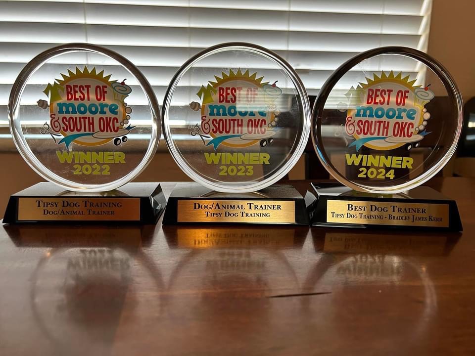 Best Dog Trainer — 4 Consecutive Years — Best of South OKC & Moore (2022, 2023, 2024, 2025)
